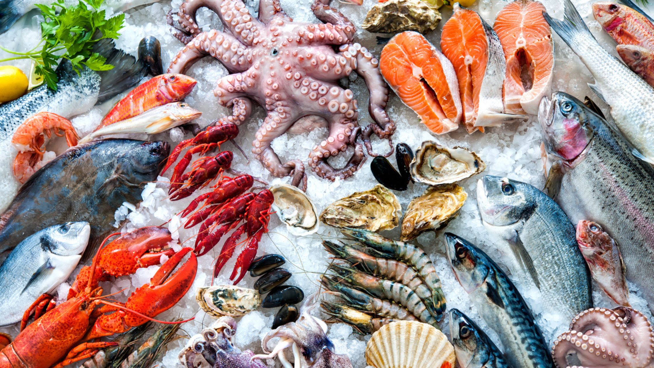  Seafood and Fish